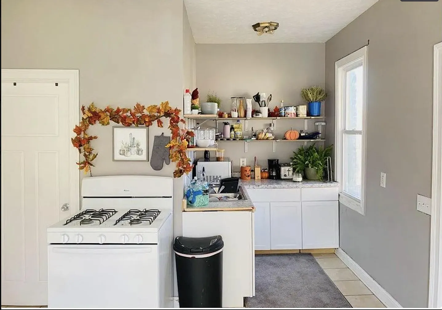 3 bed, 900 sqft, $1,500 — Photo 4