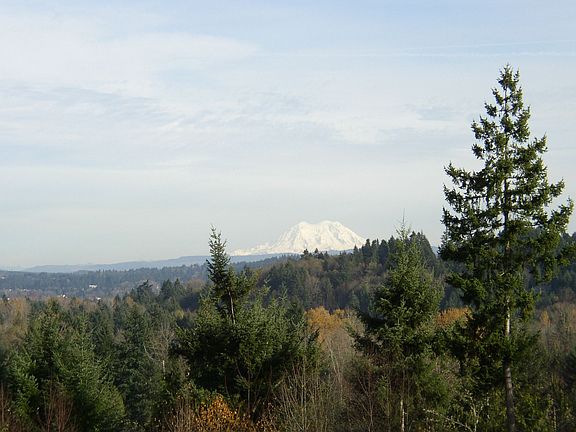 View of Mt. Rainier from front of home