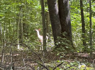 2 Beech Ln, Davis, WV 26260