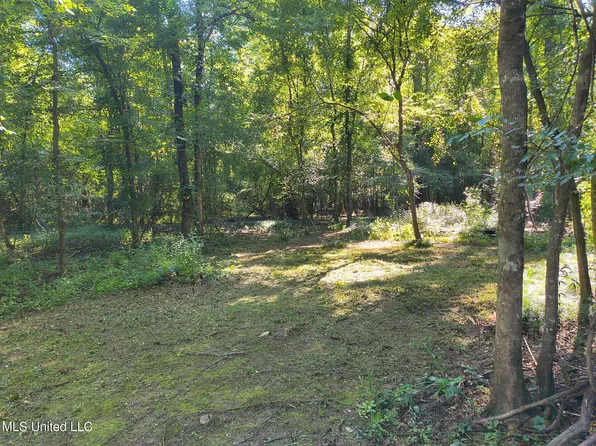 0 Carter Lake Dr, Lucedale, MS 39452