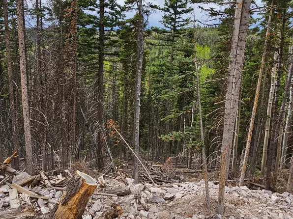 T29s R5w S2 Vlg Lot 39-W, Beaver, UT 84713