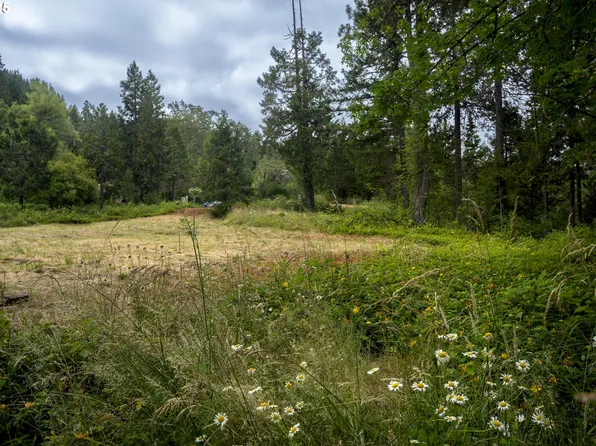 1588 Lone Rock Rd, Glide, OR 97443