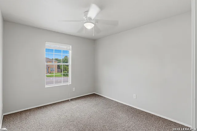 25513 Gold Yarrow — Photo 15