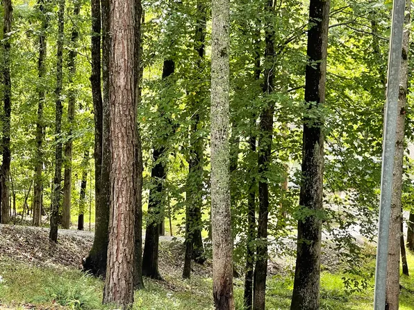 LOT-24A Raintree Dr, Alexander City, AL 35010