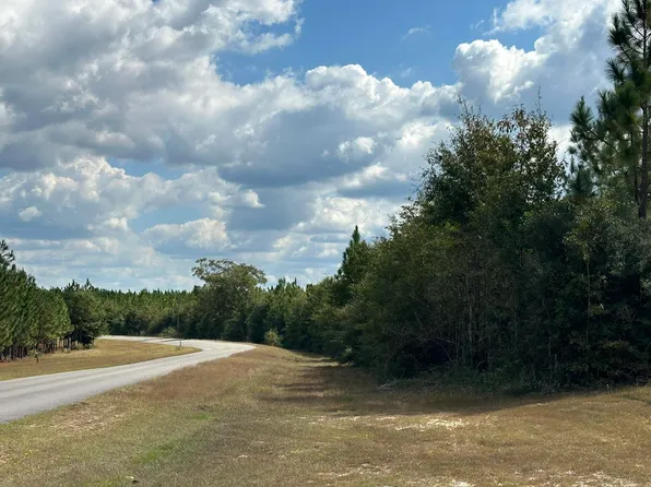 PARCEL D&e New Ebenezer Rd, Laurel Hill, FL 32567