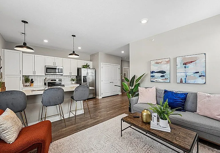Kitchen and Living Room