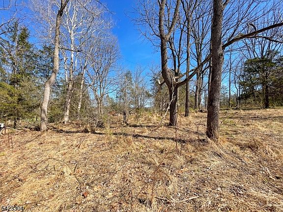 4th image of 569 Ervey Rd