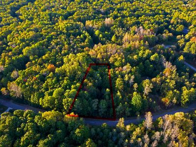 Springdale Dr, Elmira, MI, 49730