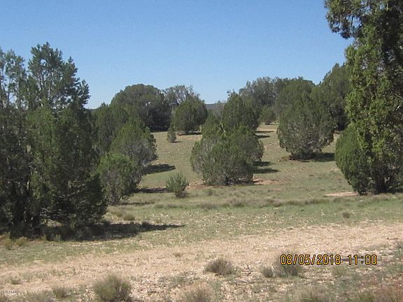 5th image of 155 Acres Peach Springs -- #-