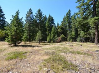 Domerie Bay Rd, Ronald, WA 98940