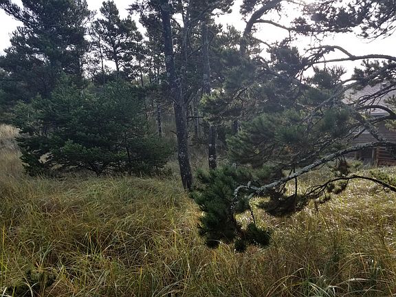 5th image of Cape Kiwanda Lot 11