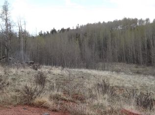 853 Iron Mountain Rd, Mountain rd, CO 80440