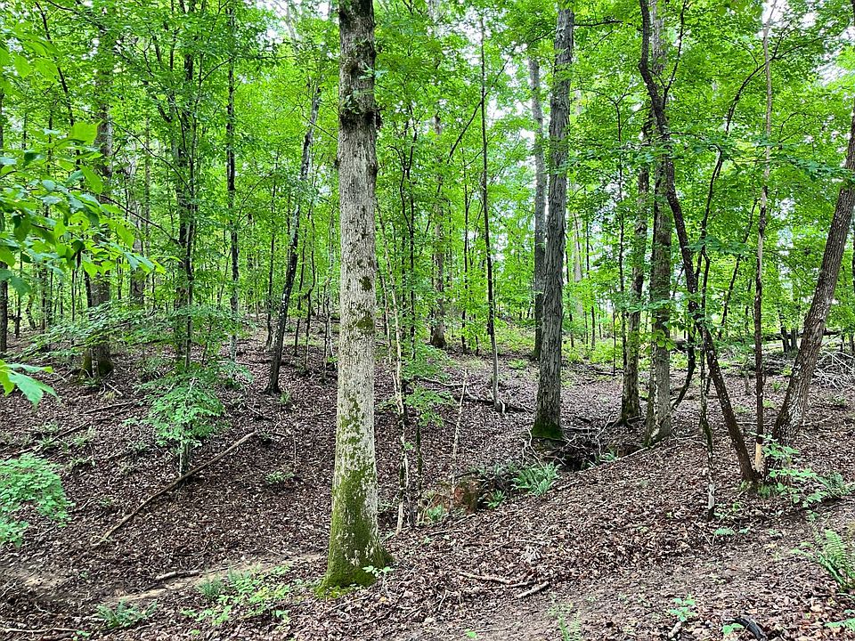 1st image of Nation Rd