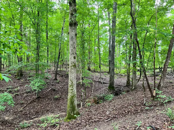 Nation Rd, Abbeville, SC 29620