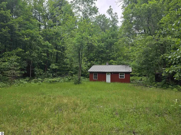6300 Kerr Trl, Hale, MI 48739