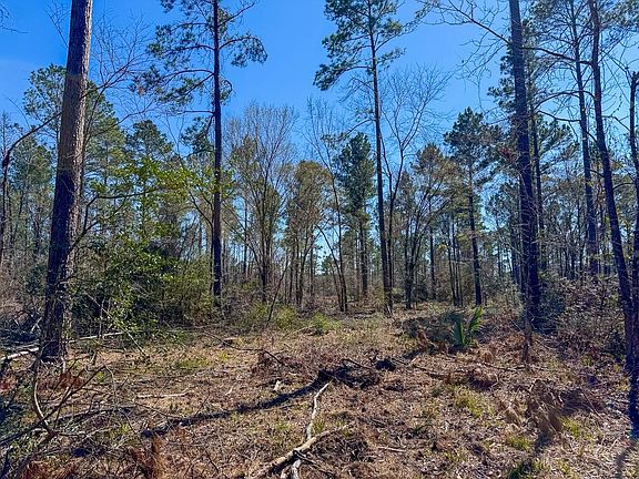 5th image of 1 Boontown Rd