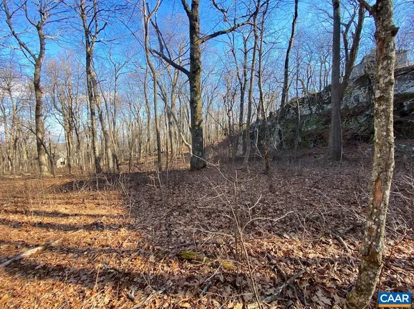 462 Deer Springs Ln, Roseland, VA 22967