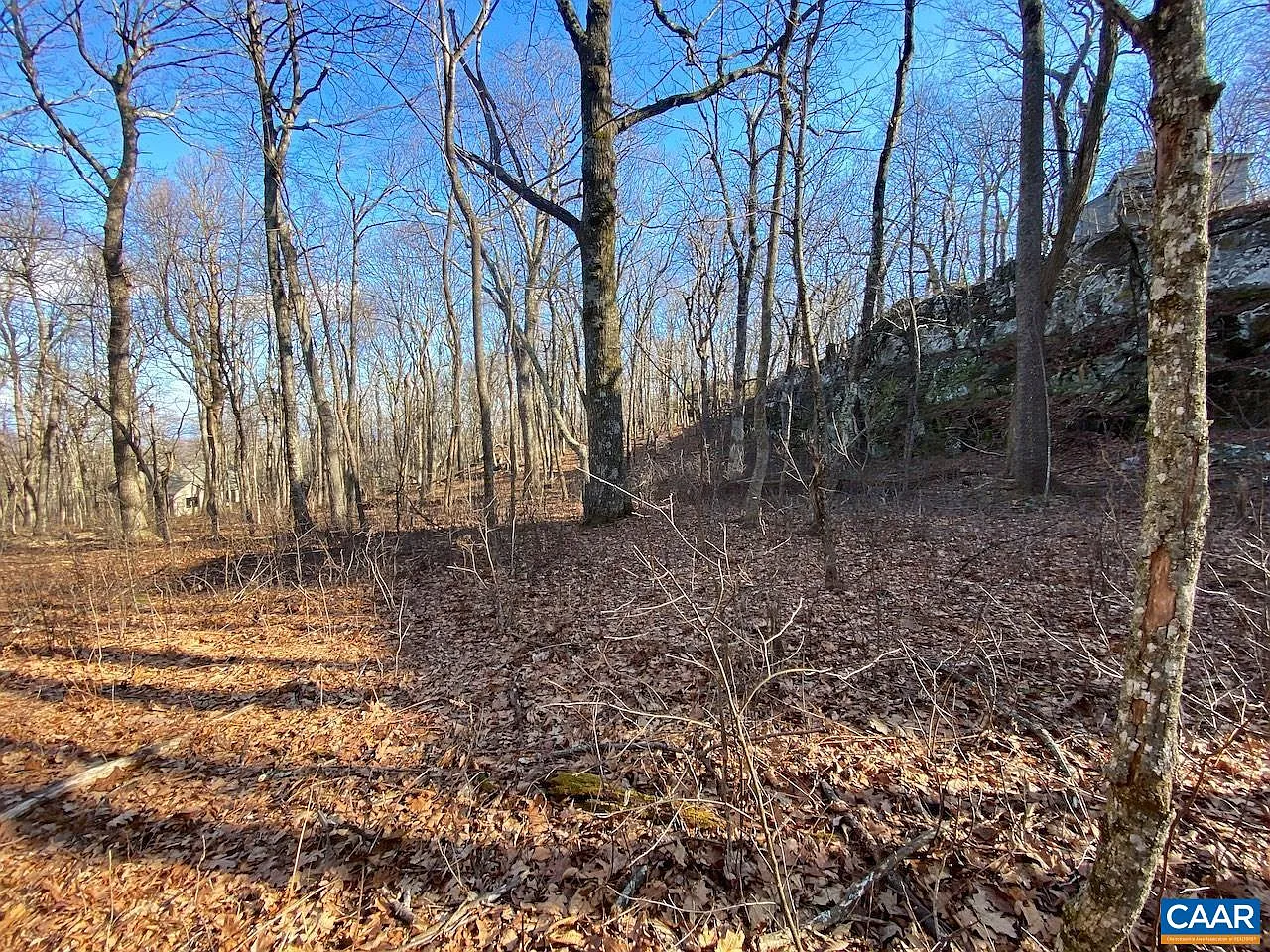 462 Deer Springs Ln photo 1