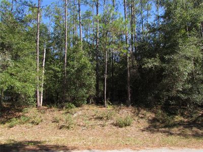 LOT 13 SW 87th Loop LOT 13, Dunnellon, FL, 34431