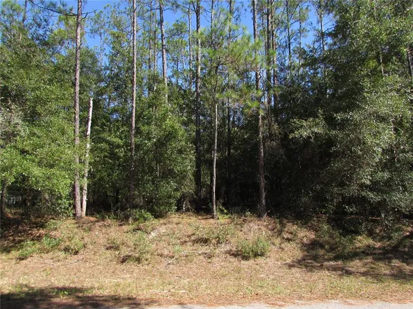 LOT 13 SW 87th Loop Lot 13, Dunnellon, FL 34431