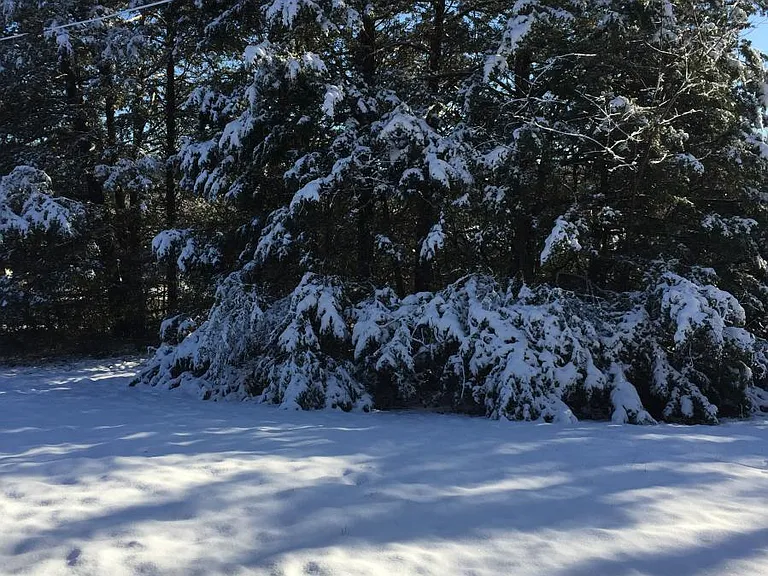 Front Porch facing the Winter Trees