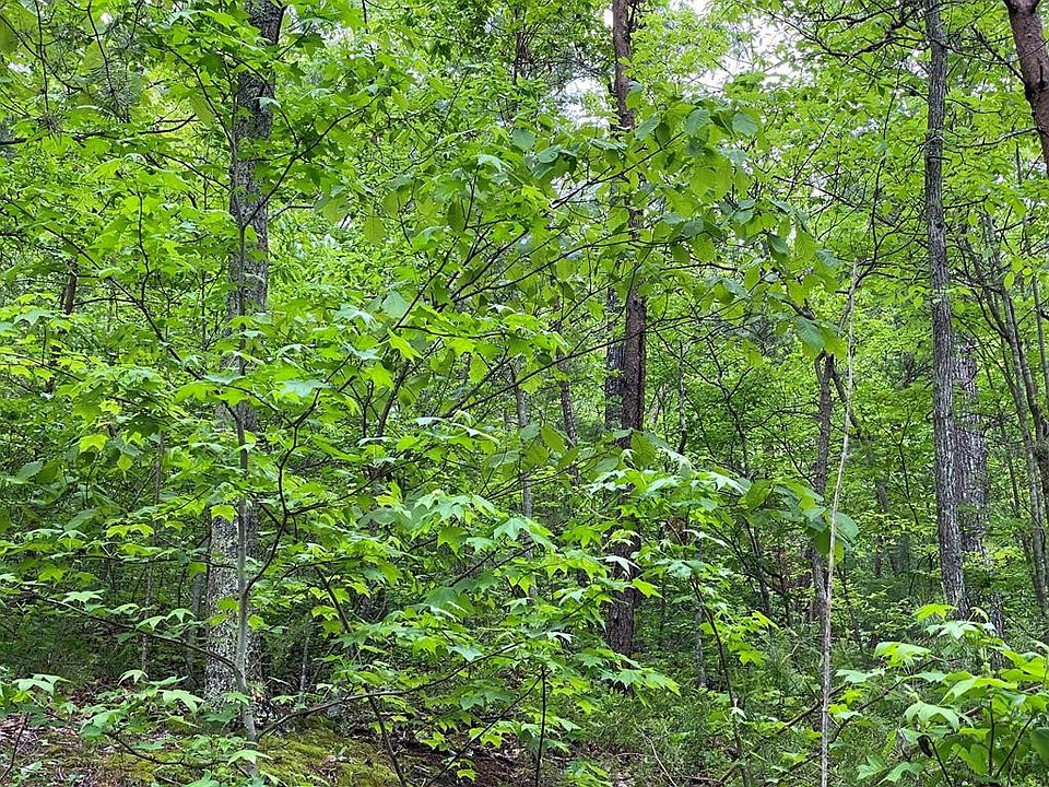 1st image of 21 Elderberry Dr Lot 21