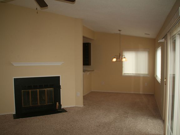 Fireplace in the Living Room
