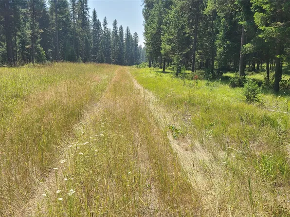 128 Whitefish Forest Loop, Whitefish, MT 59937