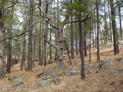 17390 S Shadow Rock Pl, Munds Park, AZ, 86017