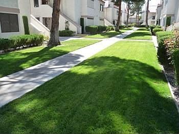 3rd image of 1333 Del Mar St #101