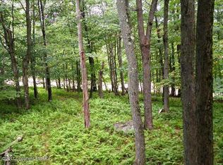 133 Black Oak Ter, Pocono Lake, PA 18347