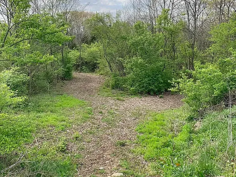 Walking Trail