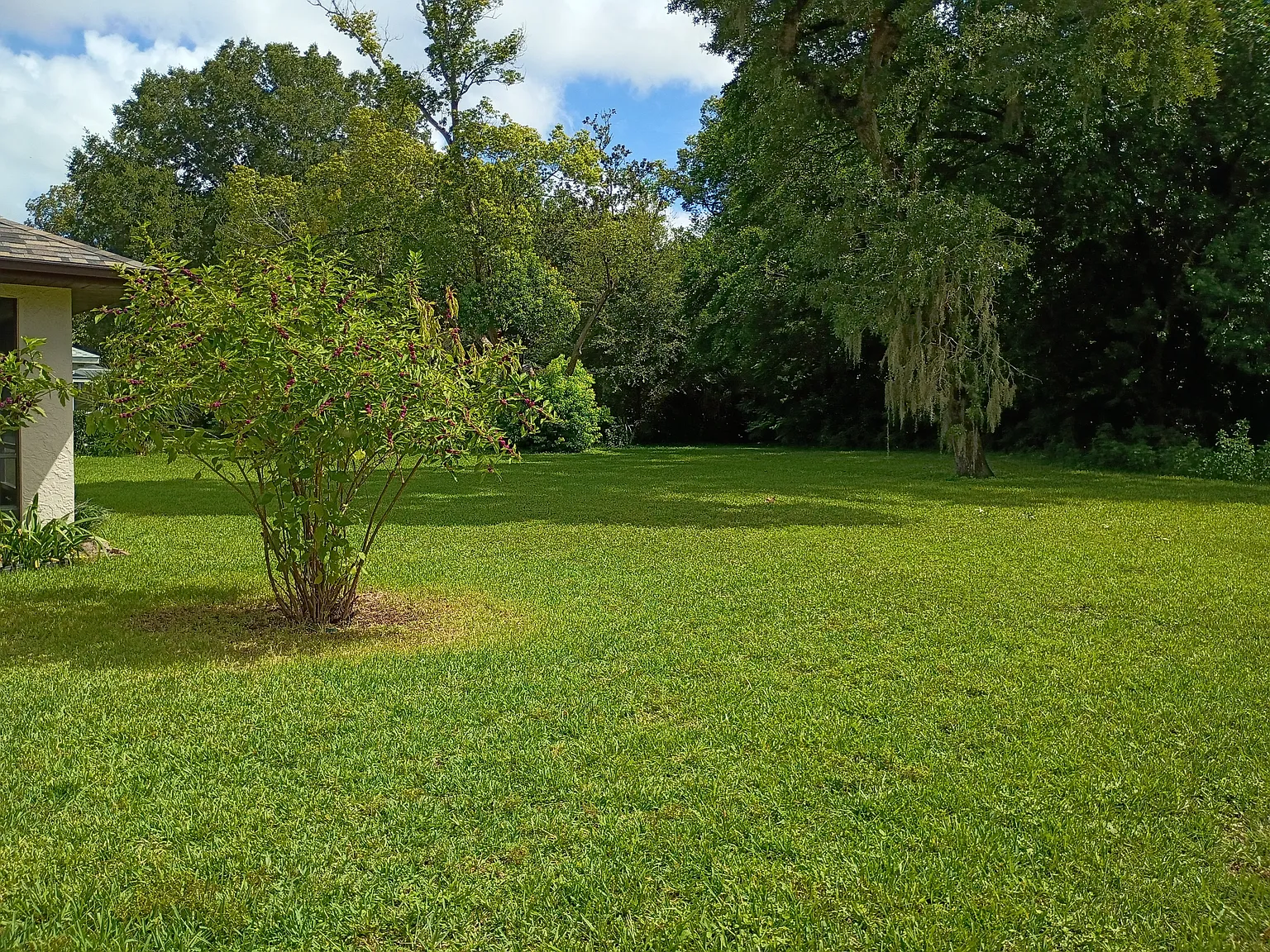 3 bed, 1400 sqft, $1,790 — Photo 4