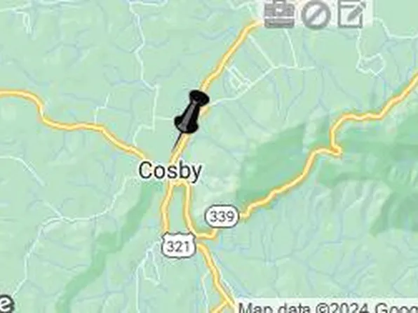 111-047 Jones Cove Rd, Cosby, TN 37722