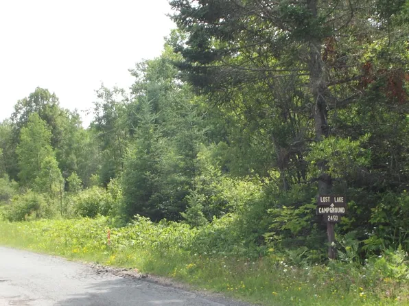 3 On Dream Lake Rd, Laona, WI 54541