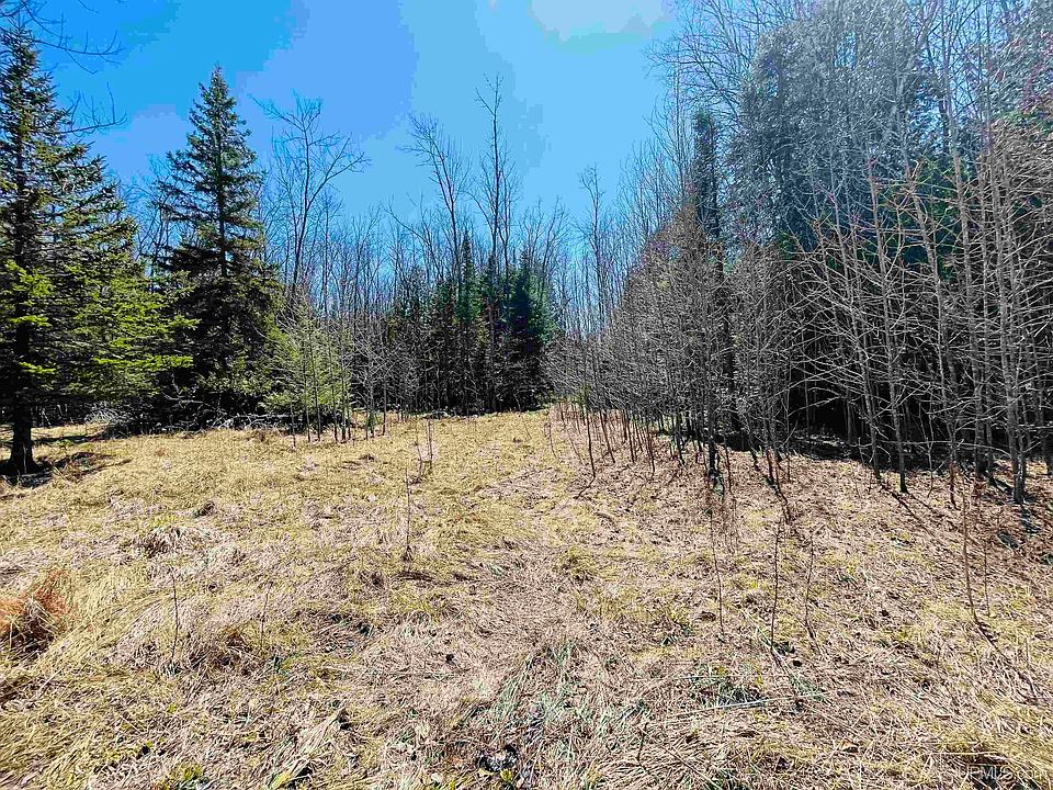 21271 Gabor Rd, Perronville, MI 49873 MLS 50121577 Zillow