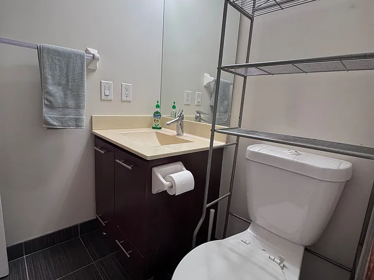 125 Village Green Sq #2909 — Photo 5