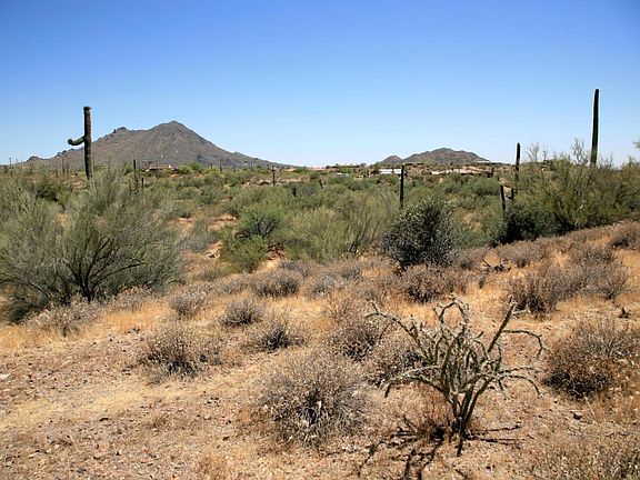 Acres of Room for your Horse Set Up