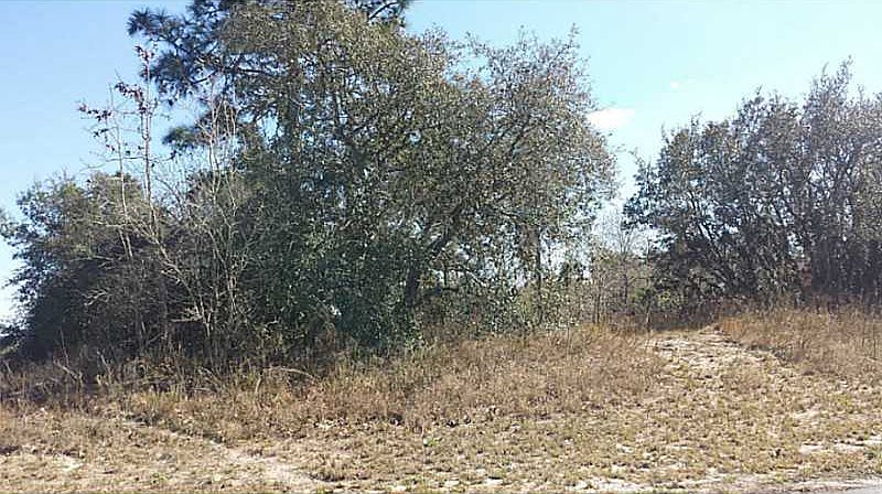 2nd image of Gold Rd