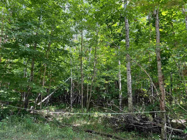4 Mulberry Ln, Florence, WI 54121