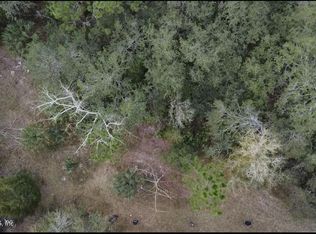 133 Pioneer Trl, Palatka, FL 32177