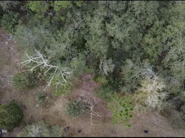 133 PIONEER Trail, Palatka, FL 32177