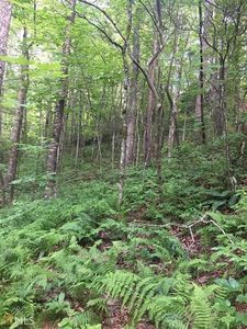 0 Covecrest Dr #3, Tiger, GA, 30576