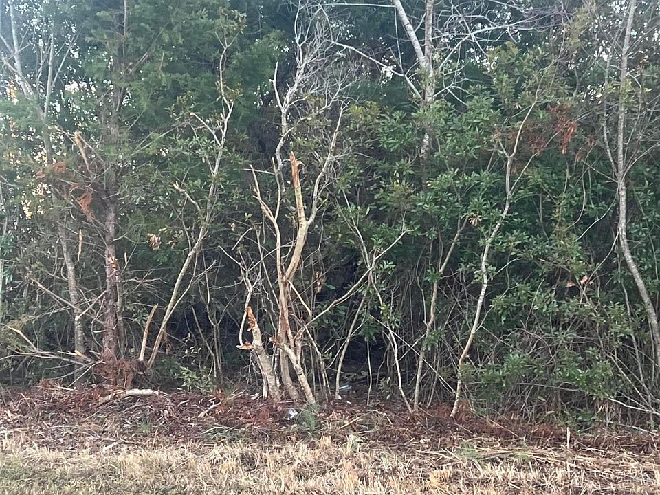 2nd image of 200 Grandview Drive