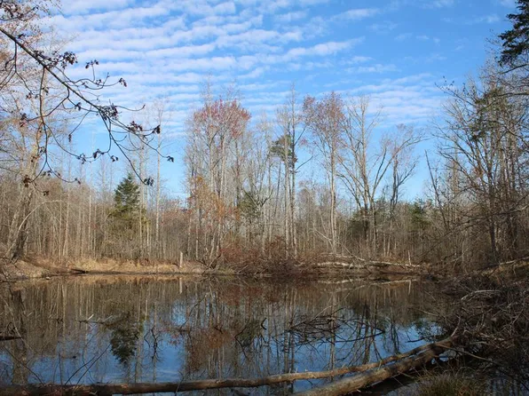 208.175 Owens Mill Rd, Nathalie, VA 24577