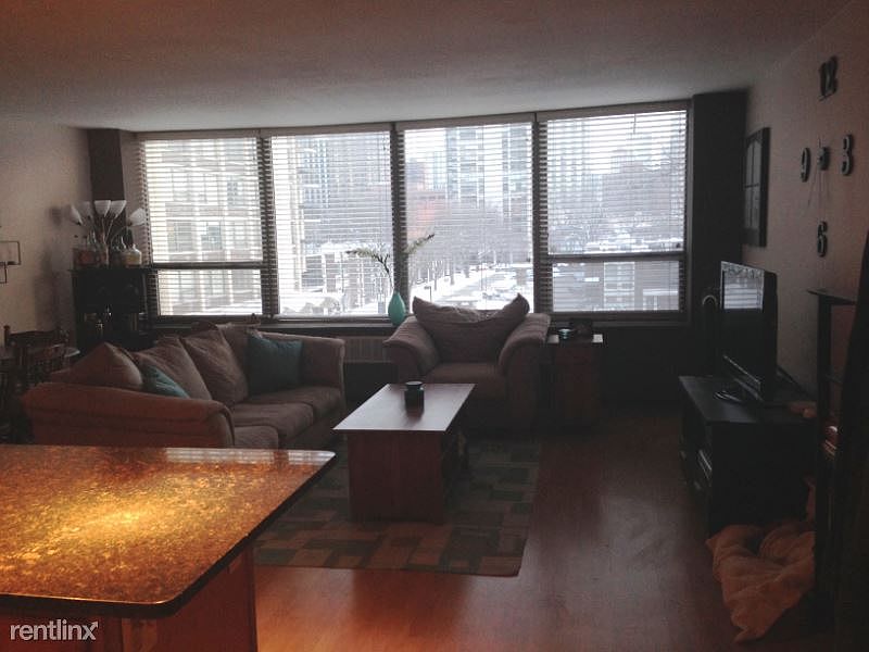 1st image of 1360 N Sandburg Ter APT 2110C