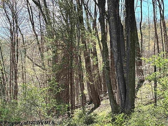 3rd image of Porterfield Rd