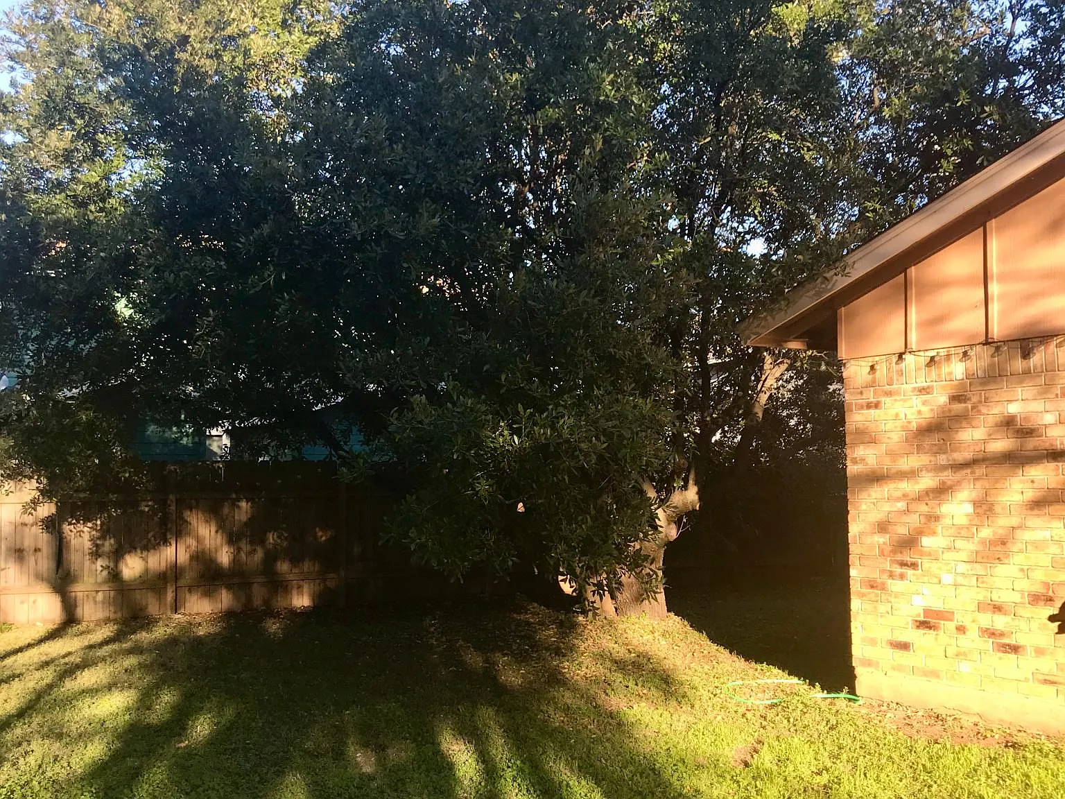2 bed, 850 sqft, $1,350 — Photo 4