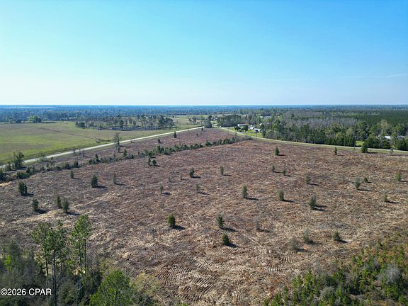 2nd image of SW Lot 2 Sw County Rd #275