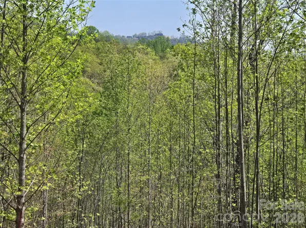 LOT 17 Touch Me Not Trl, Lake Lure, NC 28746